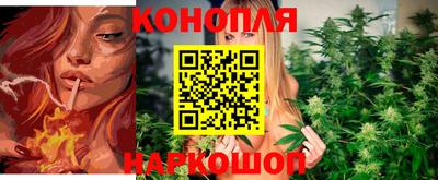 стаф Кандалакша