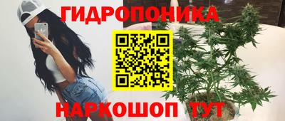 стаф Кандалакша