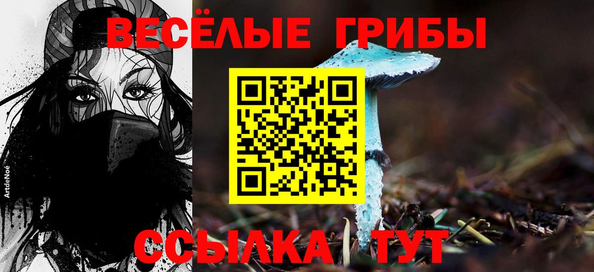 купить наркотик  Вход с VPN  Истра  Псилоцибиновые грибы Magic Shrooms 